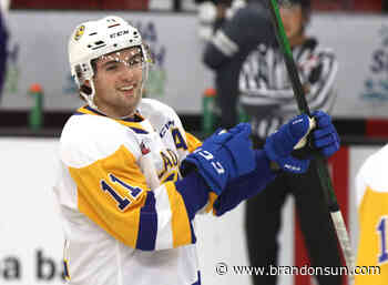 WHL NOTEBOOK: Robins ready for next chapter on the ice - The Brandon Sun