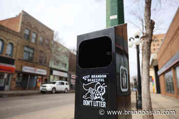 Brandon in need of cleanup effort - The Brandon Sun