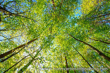 Avfuel to supply SAF to Del Monte Aviation - Hydrocarbon Engineering