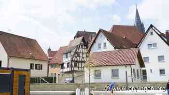 ▷ Mit Frank Dähling durch die "Frankeburg" - Eppingen.org
