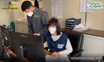 Olio extravergine d'oliva, il 27 per cento dei campioni prelevati è risultato irregolare - L'Eco dell'Alto Molise e Alto Vastese