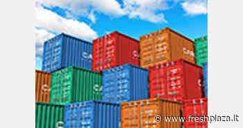 Nel 2021 sono aumentati del 5,7 per cento i container nei porti italiani - Freshplaza.it