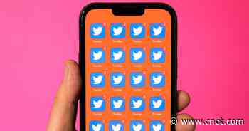 Twitter, in Its Big Pitch for Ads, Elides That Whole Elon Musk Thing     - CNET