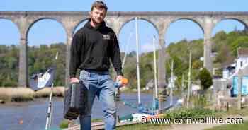Cornwall's hidden gem Calstock is England’s most beautiful next door neighbour - Cornwall Live