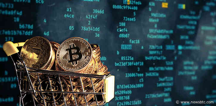 Institutional Investors Exit Market As Crypto Declines, New Report Reveals