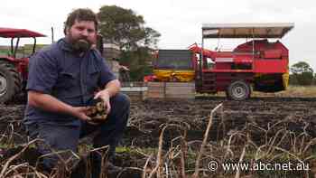 Chips are down for potato farmers as record demand doesn't move stagnant prices