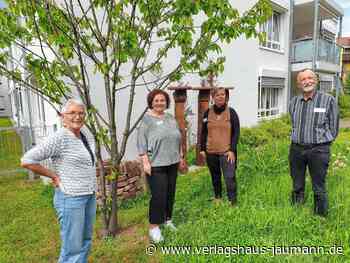 Steinen - Corona als Schuss vor den Bug - www.verlagshaus-jaumann.de