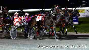 Eagle Commander wins TAB Western Regional Championships Heat at Bathurst Paceway for Nathan Hurst - Western Advocate
