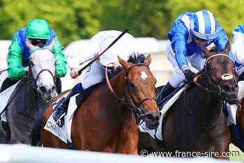 Chantilly : Pennine Hills, mission accomplie - France-sire