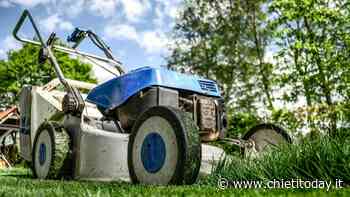 Il Centro per l'impiego cerca due giardinieri per taglio erba, potature e semina - ChietiToday