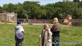 Bologna, Lido di Casalecchio: chiosco chiuso ed erba alta - il Resto del Carlino