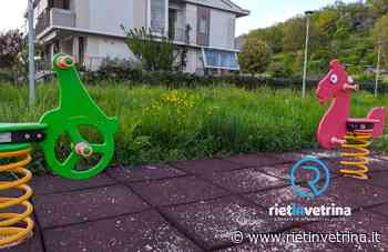 SEI TU IL REPORTER - A Micioccoli 2 l'erba è altissima. Residente si ritrova un serpente in casa - Rietinvetrina