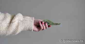 Saskatchewan to raise minimum wage to $13 per hour in October, $15 by 2024 - Global News