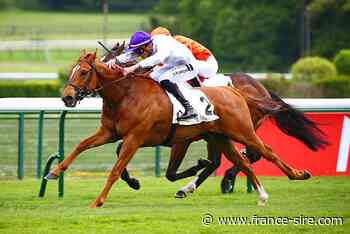 Longchamp : le Rush final de Fecamp - France-sire