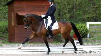 Reitturnier in Schenefeld: Dressur-Opening: Alexandra Bimschas und Felix Kneese triumphieren | shz.de - shz.de