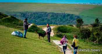 Essex weather forecast: Today's weather in Chelmsford, Southend, Harlow, Colchester, Basildon and more as sunshine is expected - Essex Live