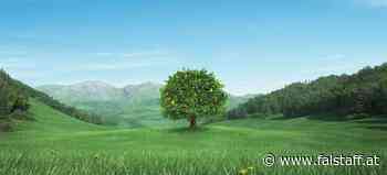 Neue limited Edition von Rauch: Cocos Ananas