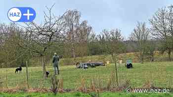 Sehnde: Stadt will künftig Hundewiese in Höver pflegen - HAZ
