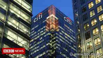 Trader made error in 'flash crash', Citigroup says