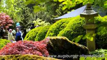 Das Japanische Frühlingsfest steigt wieder im Botanischen Garten