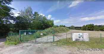 Stekene krijgt nieuw natuurdomein aan Bekaf: “Gronden worden in 2024 gratis overgedragen aan gemeente” - Het Laatste Nieuws