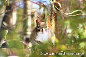 Punching in | Bancroft this Week - Bancroft This Week