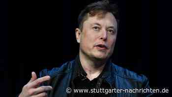 Social Media: Musk erwägt nach Übernahme Gebühren für Twitter - Stuttgarter Nachrichten