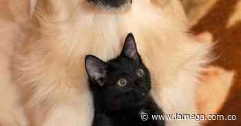 El Coro Mañanero llega con un 'Error' - La Mega