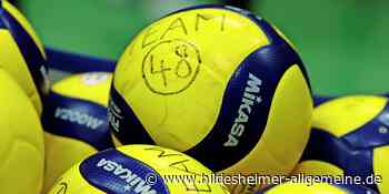 Verzichtet der MTV 48 Hildesheim auf den Zweitliga-Aufstieg? - www.hildesheimer-allgemeine.de