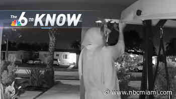 6 to Know: Bizarre Thefts From NW Miami-Dade Home Caught on Camera