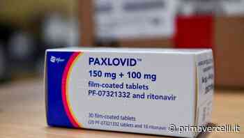 Nelle farmacie Piemontesi l'anti Covid Paxlovid - Prima Vercelli