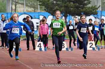 Leichtathletik-Saisonauftakt in Renningen - Große Felder beim Nachwuchs - Leonberger Kreiszeitung