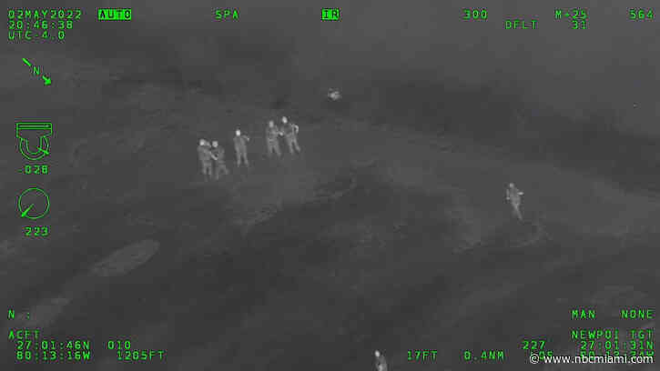 K-9 Named Zorro Captures Florida Man After High-Speed Chase