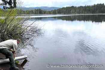 Vancouver Island Trout Hatchery stocks Maple Lake - Comox Valley Record