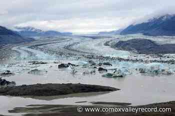 Yukon hydrologist concerned about flood risk after cold April, record snowpacks - Comox Valley Record