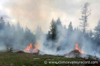 Arson suspected in 2 North Okanagan wildfires – Comox Valley Record - Comox Valley Record
