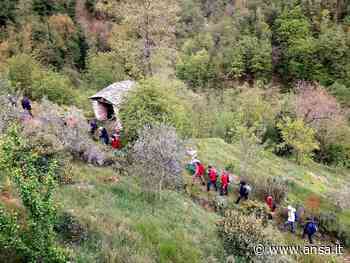 Restauro tratto antica Via Vandelli Modena-Massa, è del '700 - Agenzia ANSA