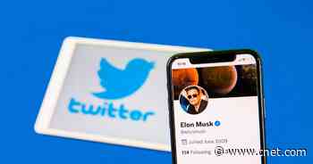 Elon Musk Will be Temporary Twitter CEO Once Deal Closes, Report Says     - CNET
