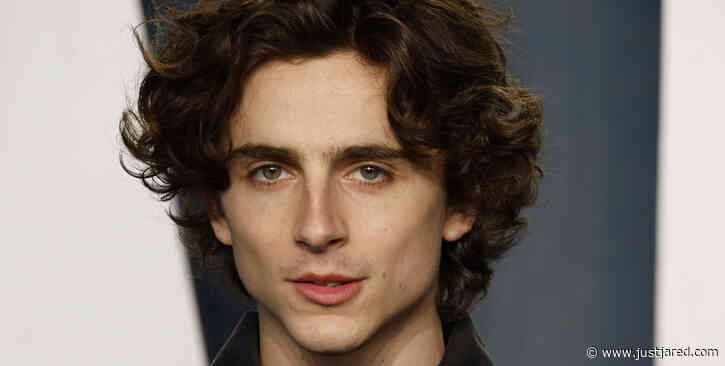 Timothee Chalamet's West End Stage Debut Officially Canceled
