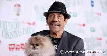 'Breaking Bad' Star Danny Trejo, 77, Secretly Battled Liver Cancer 10 Years Ago: Why Fan Favorite Chose to Keep His Brave Fight Private - SurvivorNet
