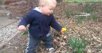 Teach your child about growing things and watch their inner gardener bloom - Omaha World-Herald