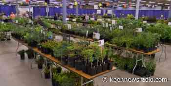 MASTER GARDENER PLANT AND GARDEN EXPO COMING SATURDAY - kqennewsradio.com