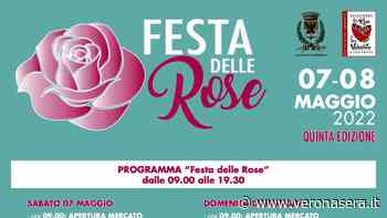 A Bussolengo torna la Festa delle rose - VeronaSera