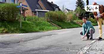 Forderung nach Straßenschwellen in Projensdorfer Straße in Kiel - Kieler Nachrichten