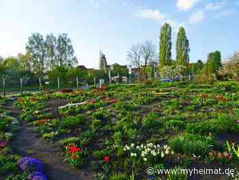 Bei diesem sonnenreichem Wetter ! - Lutherstadt Wittenberg - myheimat.de