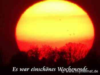 Es war ein schönes Wochenende ! - Lutherstadt Wittenberg - myheimat.de