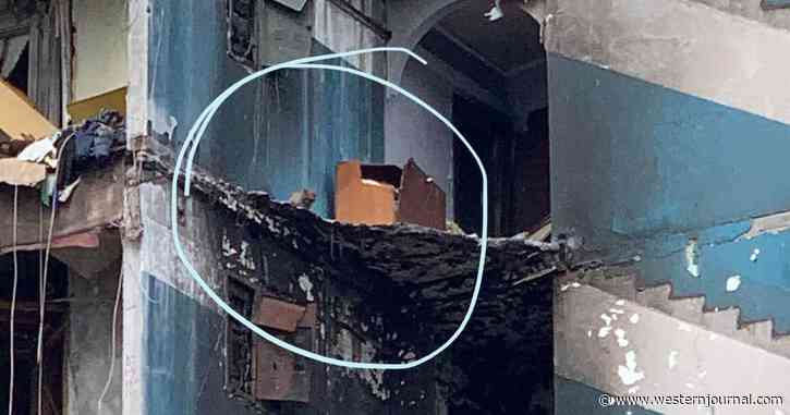 Cat Stranded for Weeks on 7th Floor of Bombed-Out Building Finally Rescued, Thanks to Local Heroes