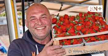 Ukraine-Krieg lässt Erdbeer-Preise steigen