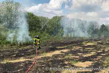 Montfaucon (Doubs) : un incendie ravage 40 ares de terrain - France 3 Régions