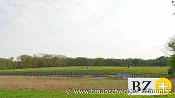 Die Chemie-Deponie von Volkswagen in Essenrode